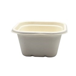 Sugarcane Takeaway Container White 480ml